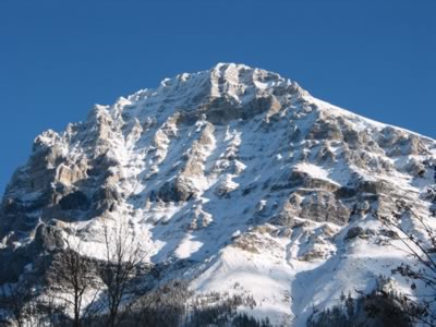 View of Mount Stephen